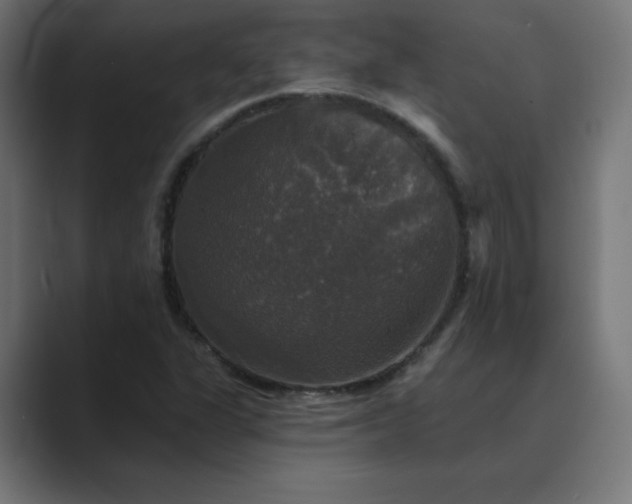 X0000089961311200706291222