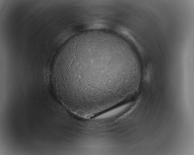 X0000089961313200706291222