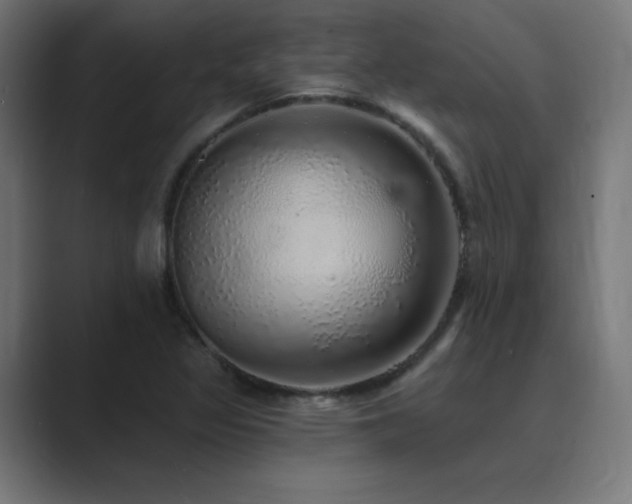 X0000089961317200706291222