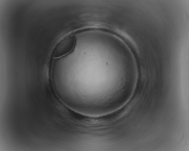 X0000089961318200706291222