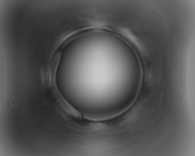 X0000089961320200706291222