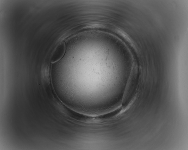 X0000089961321200706291222