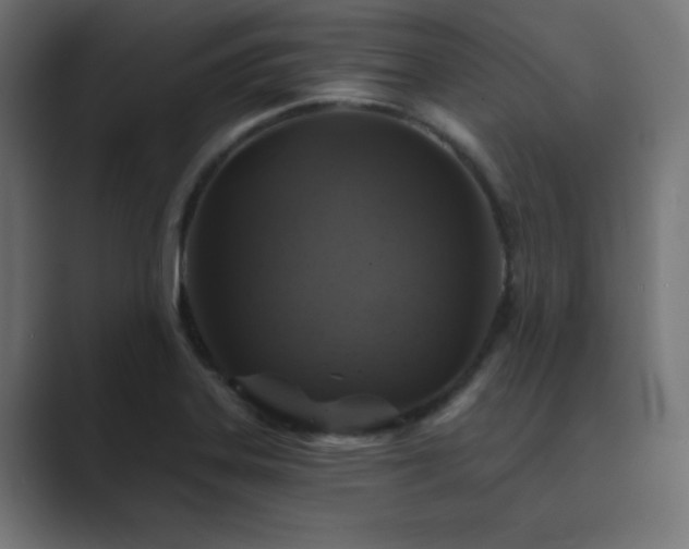 X0000089961323200706291222
