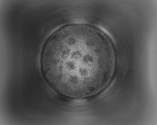 X0000089961325200706291222