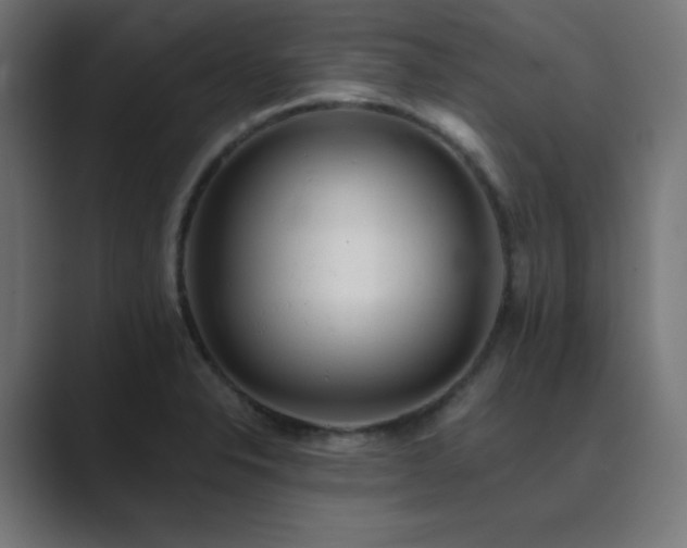 X0000089961326200706291222