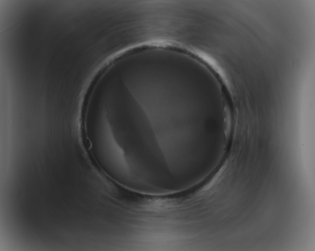 X0000089961327200706291222