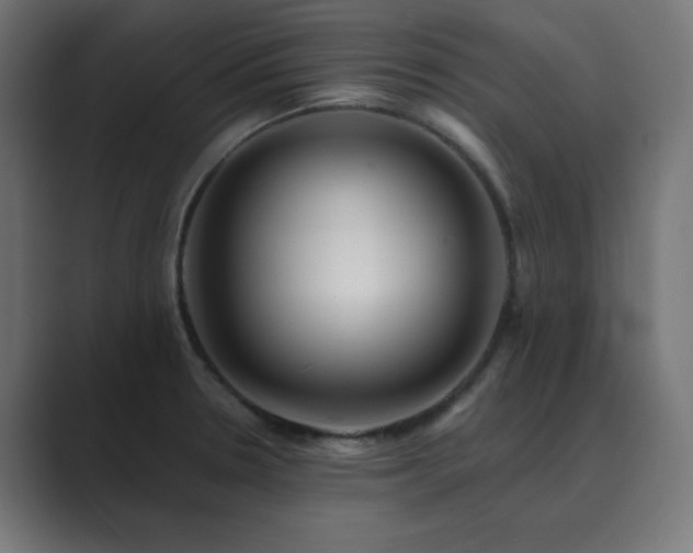 X0000089961330200706291222