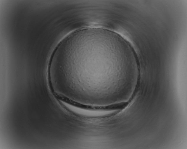 X0000089961333200706291222