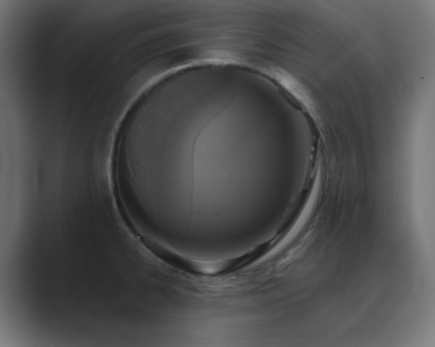 X0000089961334200706291222