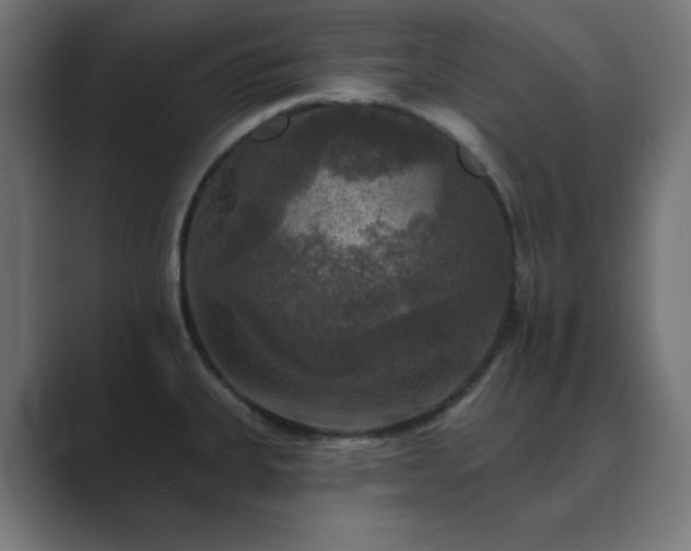 X0000089961335200706291222