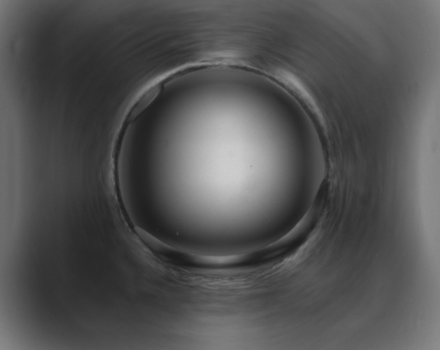 X0000089961336200706291222