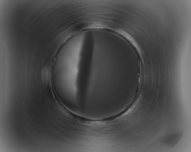 X0000089961337200706291222