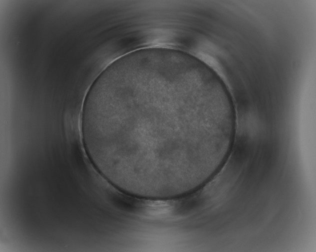 X0000089961338200706291222