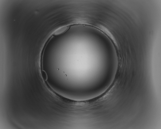 X0000089961339200706291222
