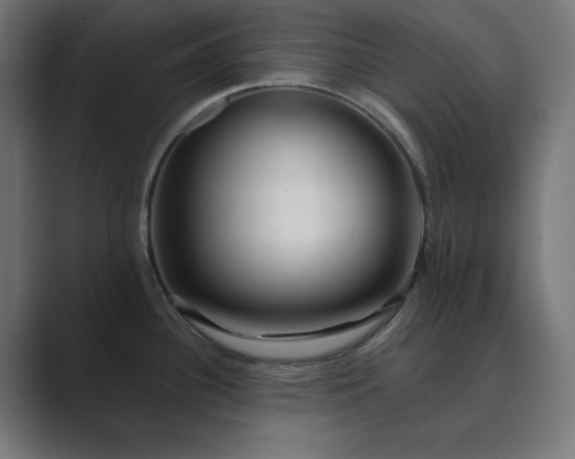 X0000089961340200706291222