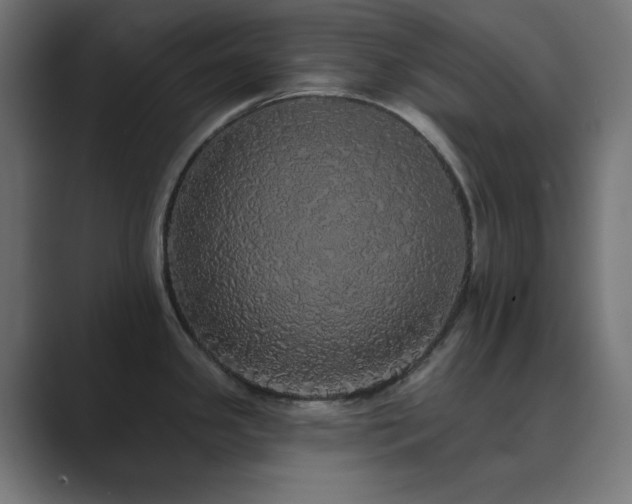 X0000089961341200706291222