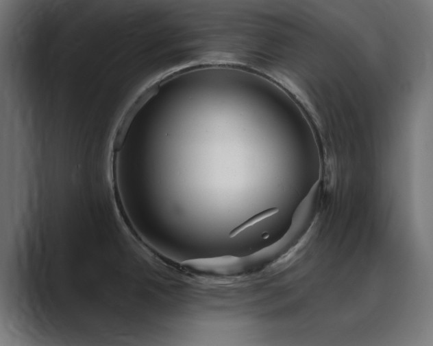 X0000089961342200706291223