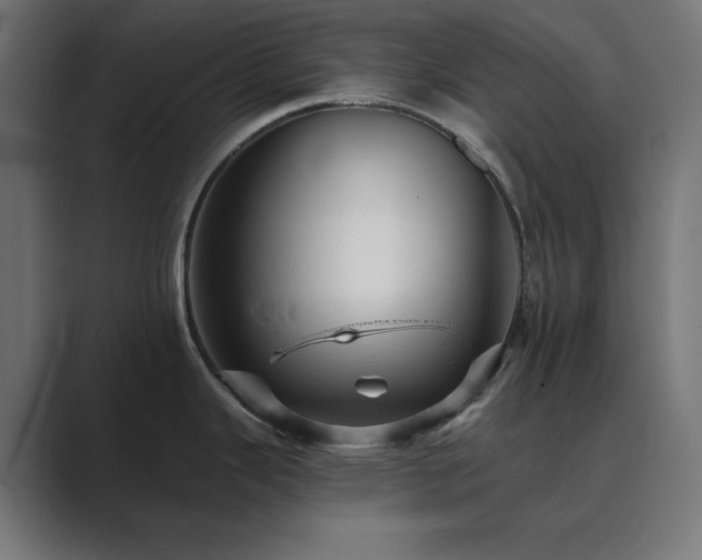 X0000089961343200706291223