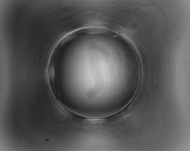 X0000089961344200706291223