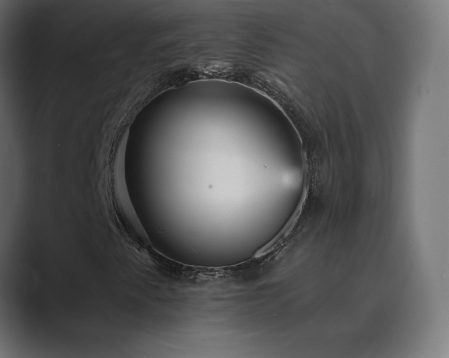 X0000089961345200706291222