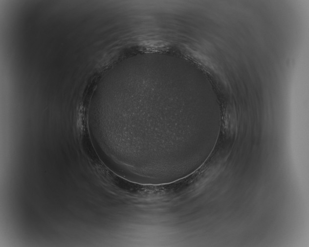 X0000089961346200706291222