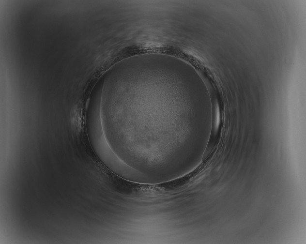 X0000089961348200706291222