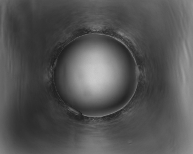 X0000089961349200706291222