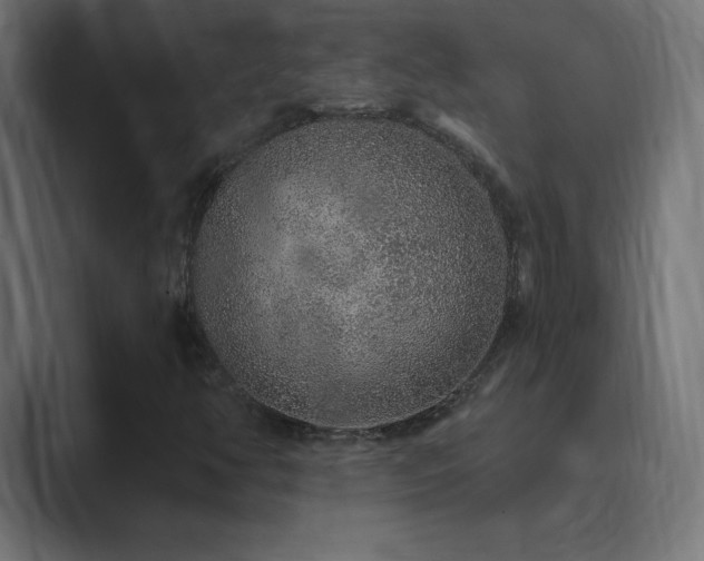 X0000089961350200706291222