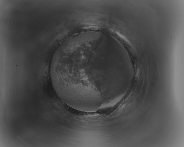 X0000089961351200706291222