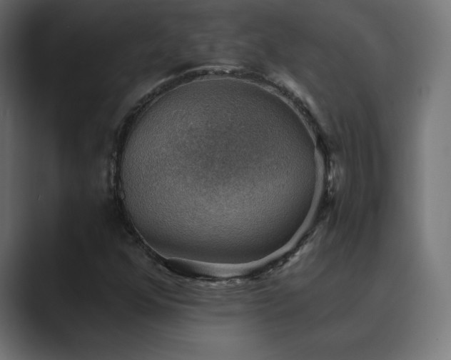 X0000089961352200706291222