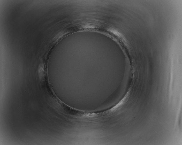 X0000089961353200706291222