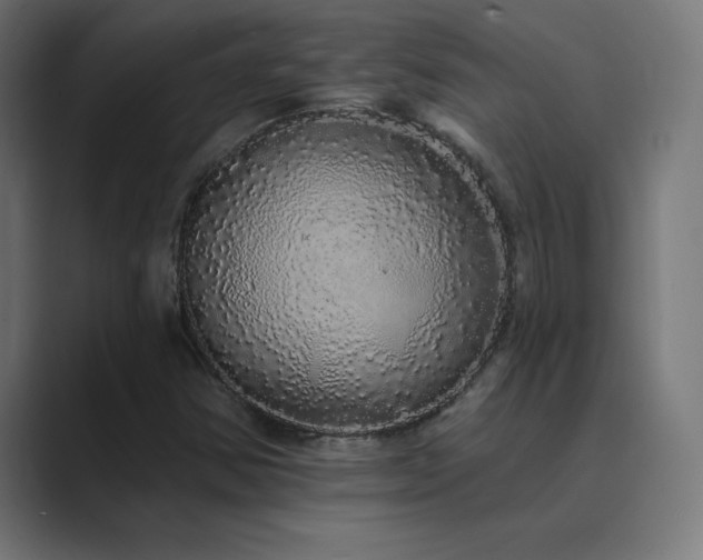 X0000089961354200706291222