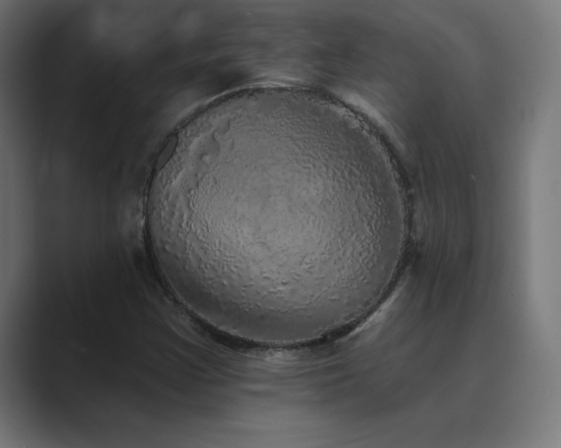 X0000089961355200706291222