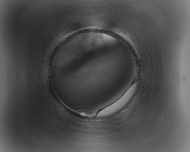 X0000089961359200706291222