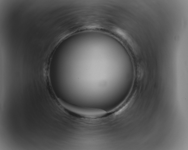 X0000089961361200706291222