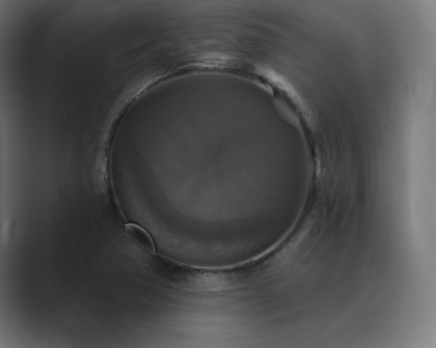 X0000089961362200706291222