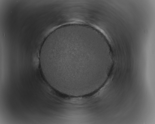 X0000089961363200706291222