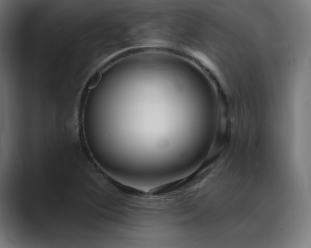 X0000089961364200706291222