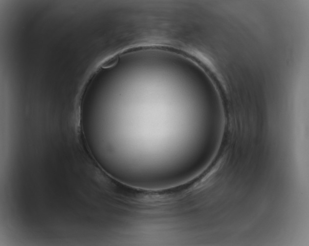 X0000089961366200706291222