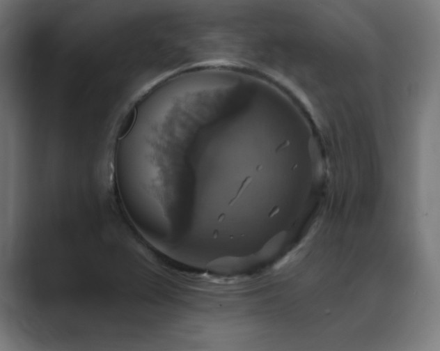 X0000089961367200706291222