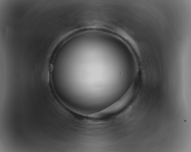 X0000089961368200706291222