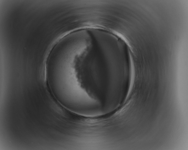 X0000089961371200706291222