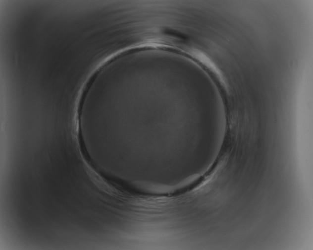 X0000089961372200706291222