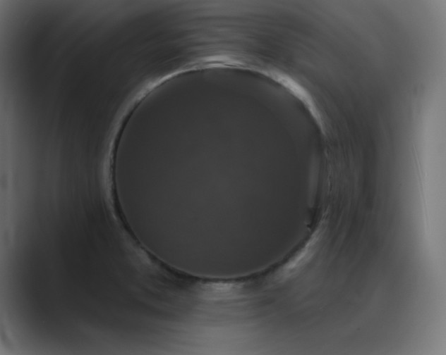 X0000089961373200706291222