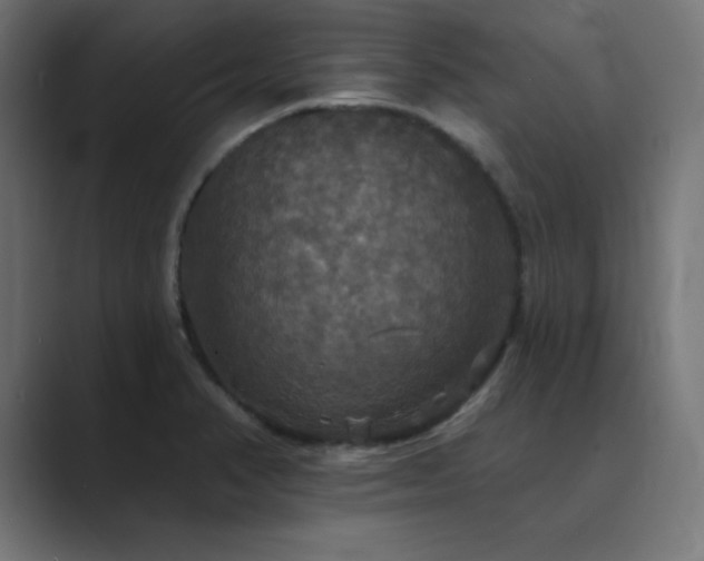 X0000089961374200706291222