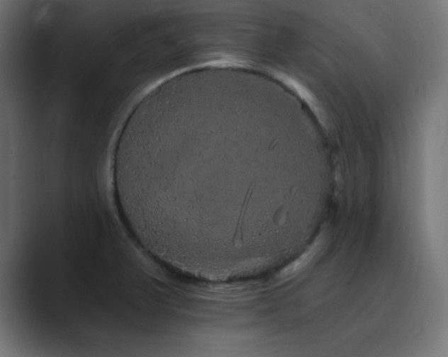 X0000089961375200706291222