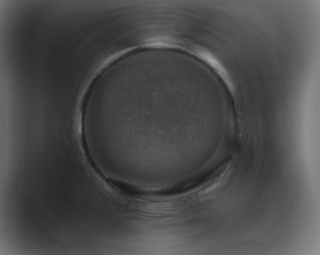 X0000089961376200706291222