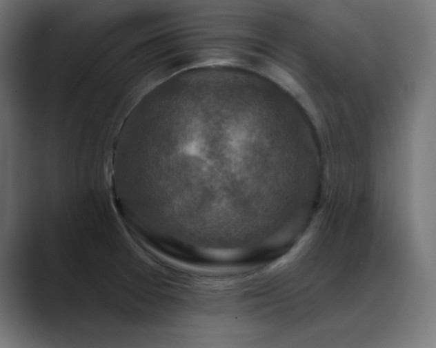 X0000089961377200706291222
