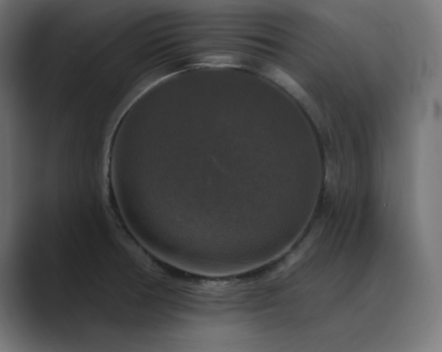 X0000089961378200706291222