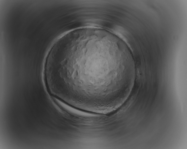 X0000089961379200706291222